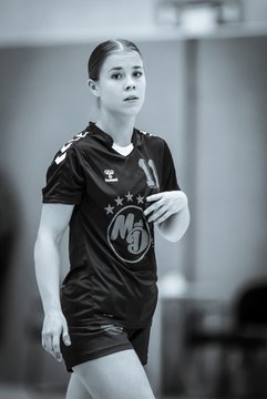 Bild 146 - Frauen HSG Kremperheide/Muensterdorf - HSG Joerl-Vioel : Ergebnis: 34:27
